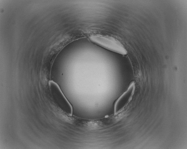 X0000076420566200610271711