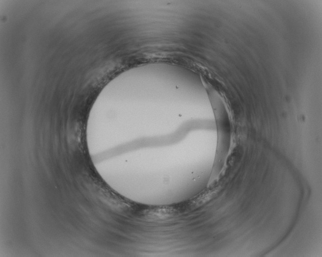 X0000076420567200610271711