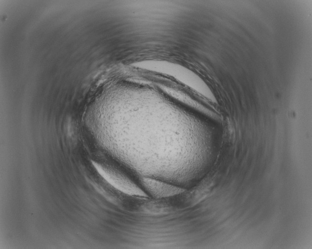 X0000076420568200610271711