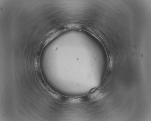 X0000076420569200610271711