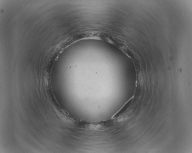 X0000076420570200610271711