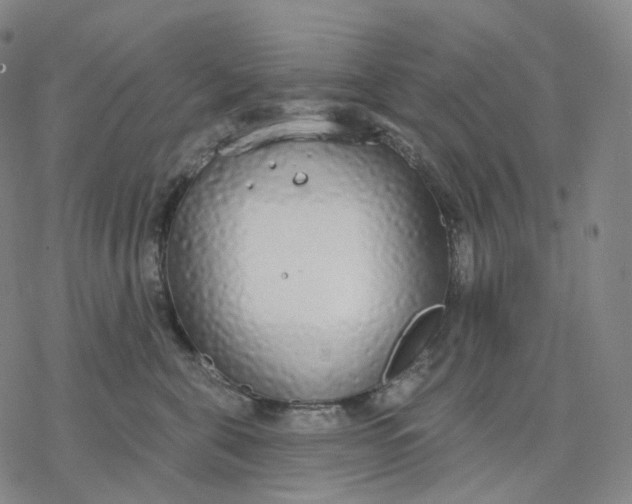 X0000076420571200610271711