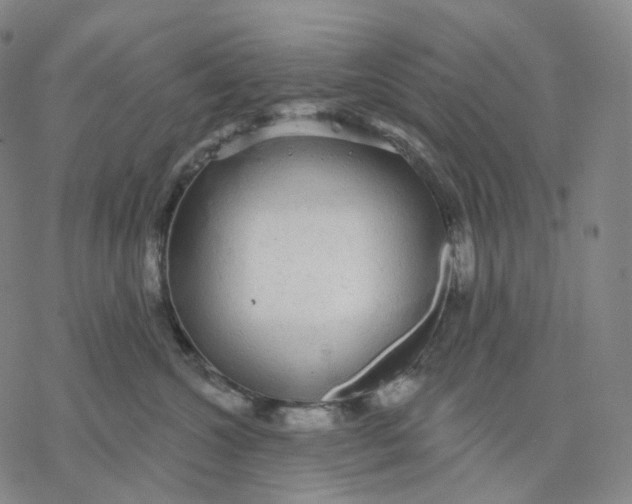 X0000076420572200610271711