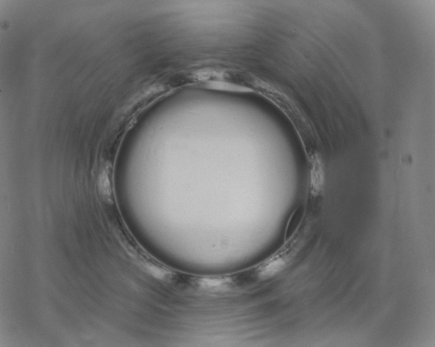 X0000076420573200610271711