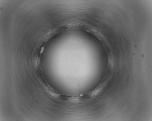 X0000076420574200610271711