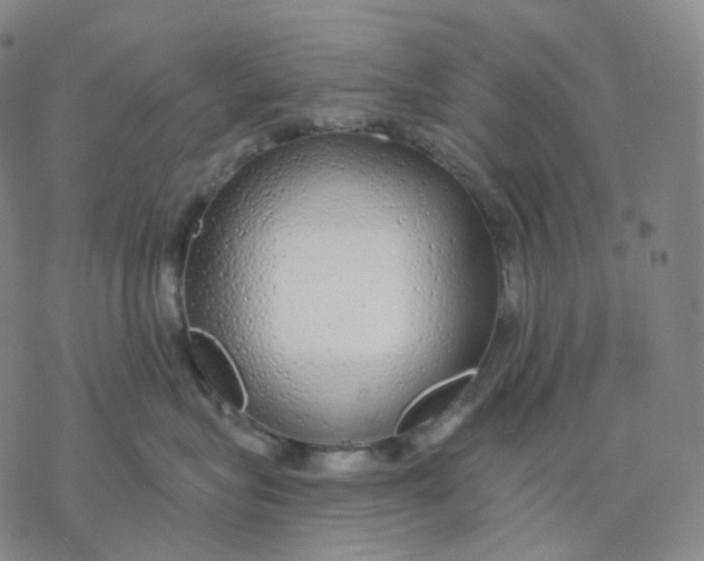 X0000076420575200610271711