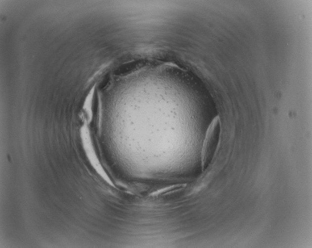 X0000076420576200610271711