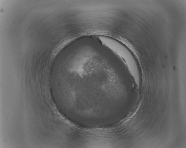 X0000076420577200610271710