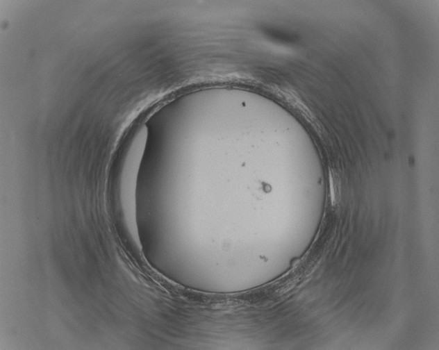 X0000076420579200610271710