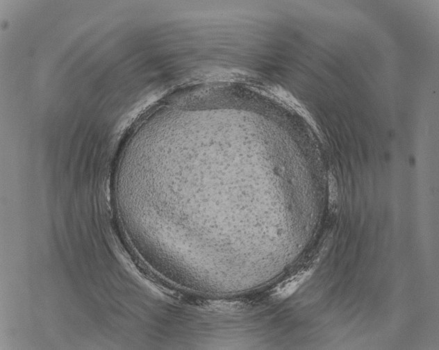 X0000076420581200610271710