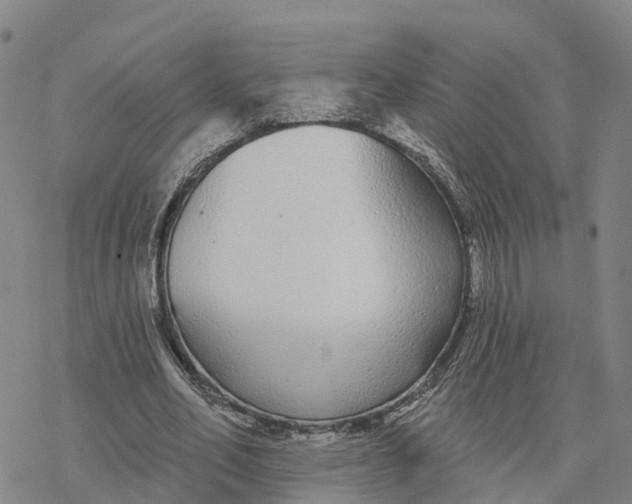 X0000076420582200610271710