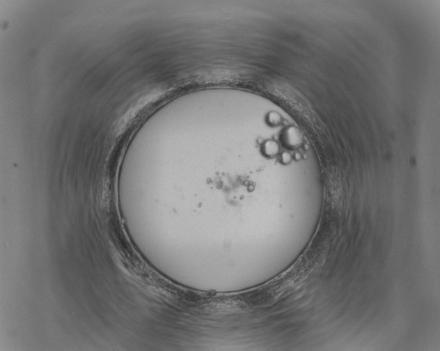 X0000076420583200610271710