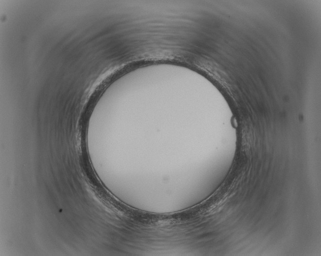 X0000076420584200610271710