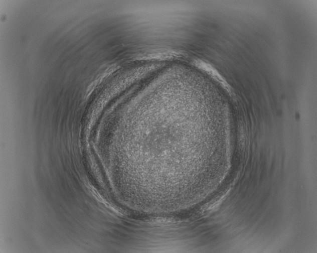 X0000076420585200610271710