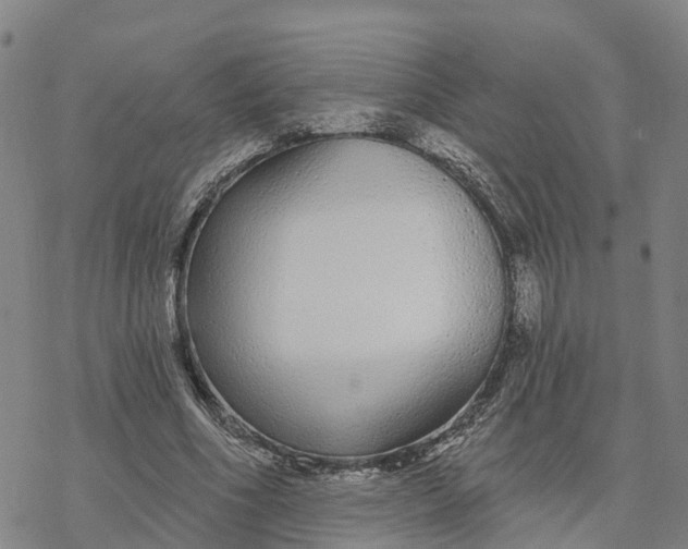 X0000076420586200610271710