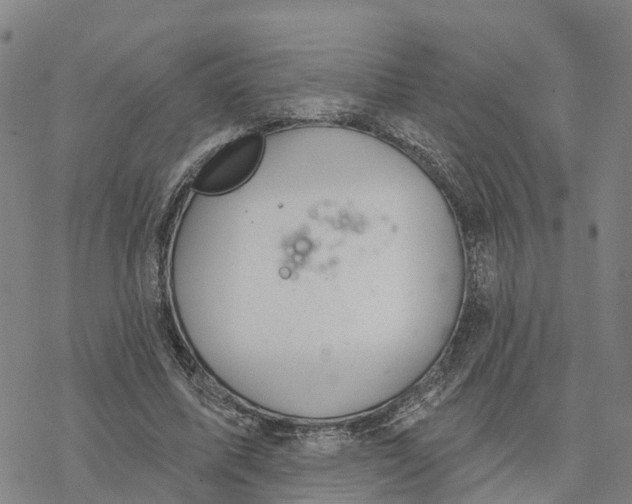 X0000076420587200610271710