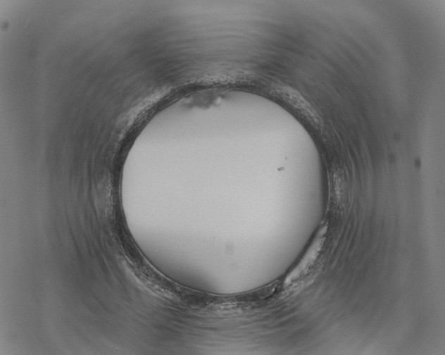 X0000076420588200610271710