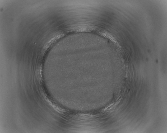 X0000076420590200610271710