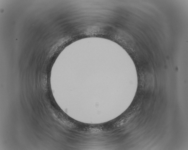 X0000076420592200610271710