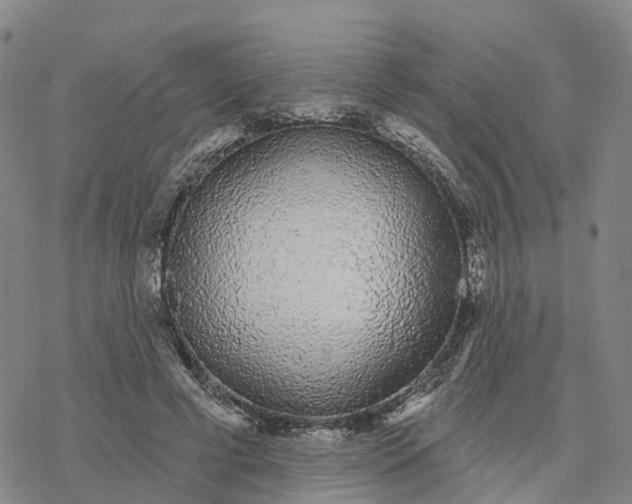 X0000076420593200610271710