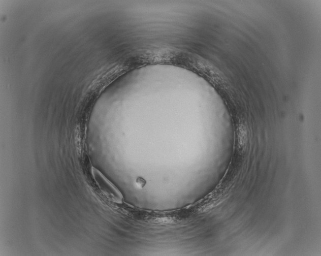 X0000076420594200610271710