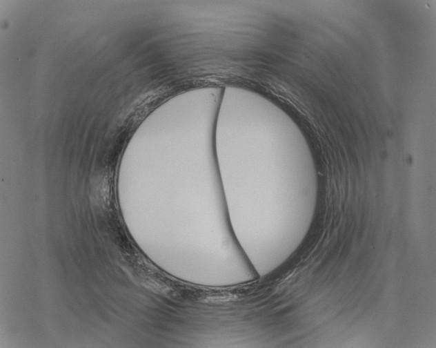 X0000076420595200610271710