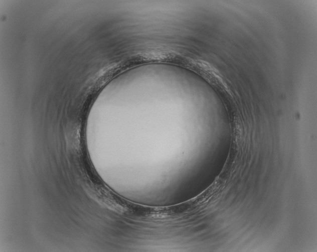 X0000076420596200610271710