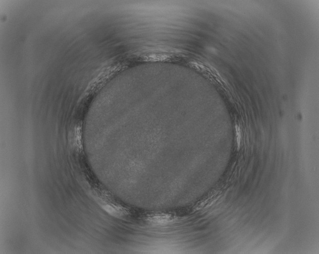 X0000076420598200610271710