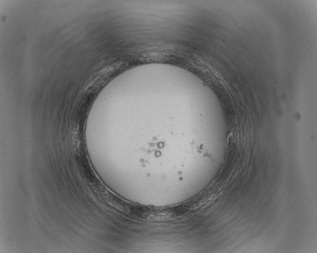 X0000076420599200610271710