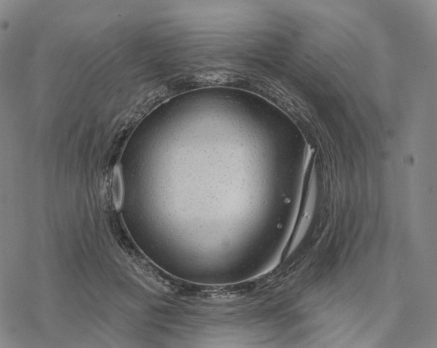 X0000076420601200610271710