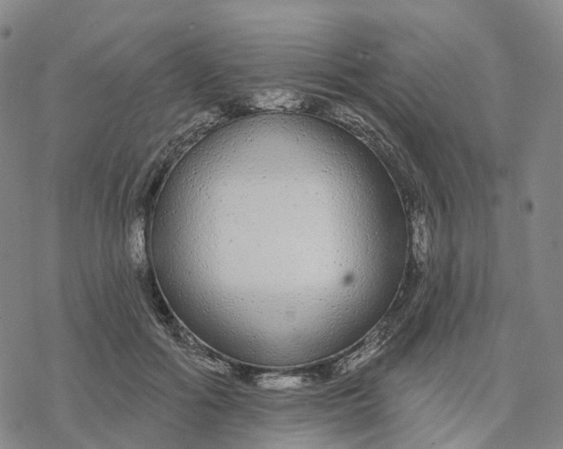 X0000076420602200610271710