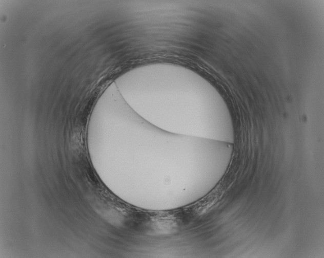 X0000076420603200610271710