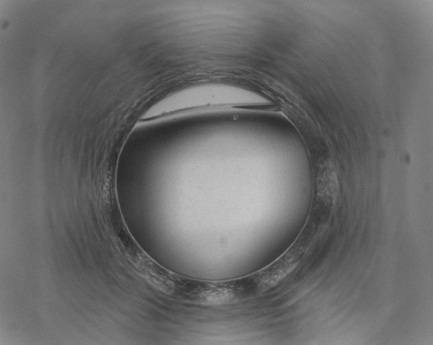 X0000076420604200610271710