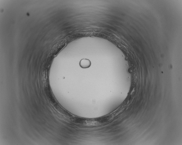 X0000076420605200610271710