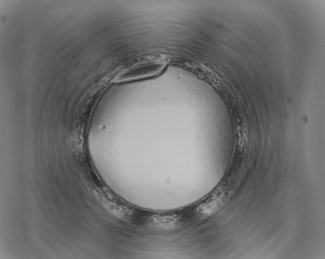 X0000076420606200610271710