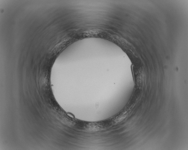 X0000076420608200610271710