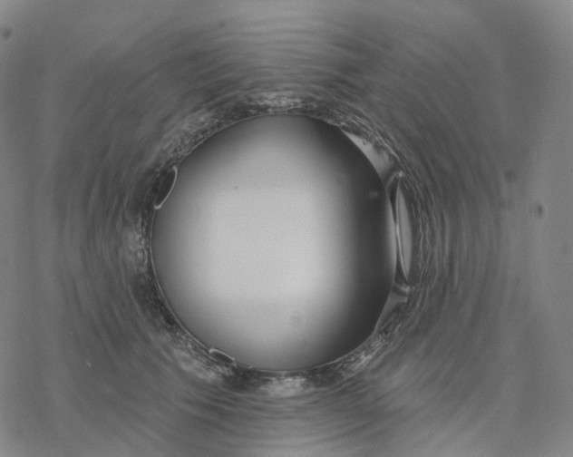 X0000076420609200610271710