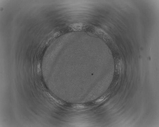 X0000076420610200610271710