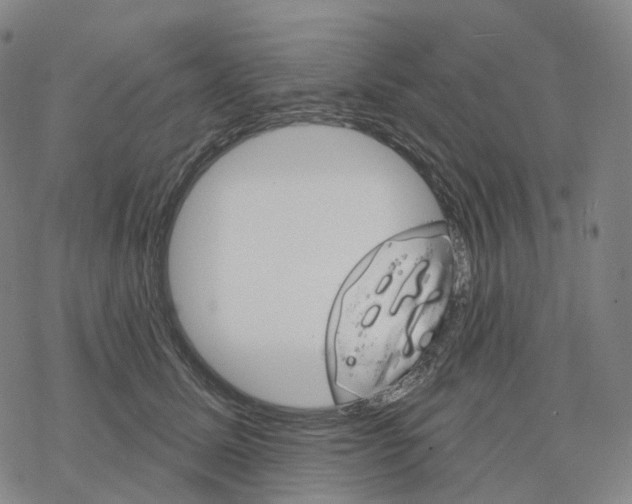 X0000076420611200610271710