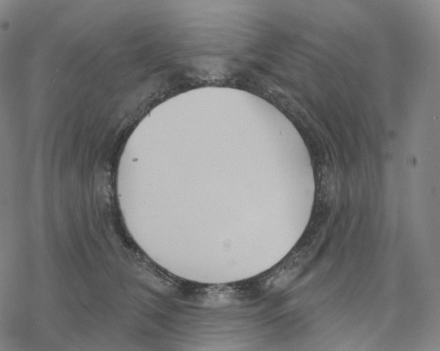 X0000076420612200610271710