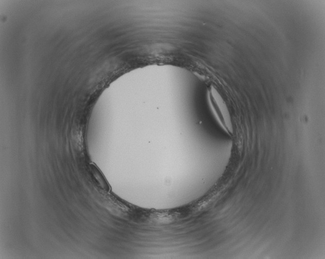 X0000076420613200610271710