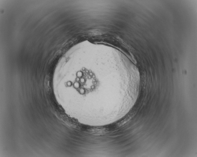 X0000076420615200610271710