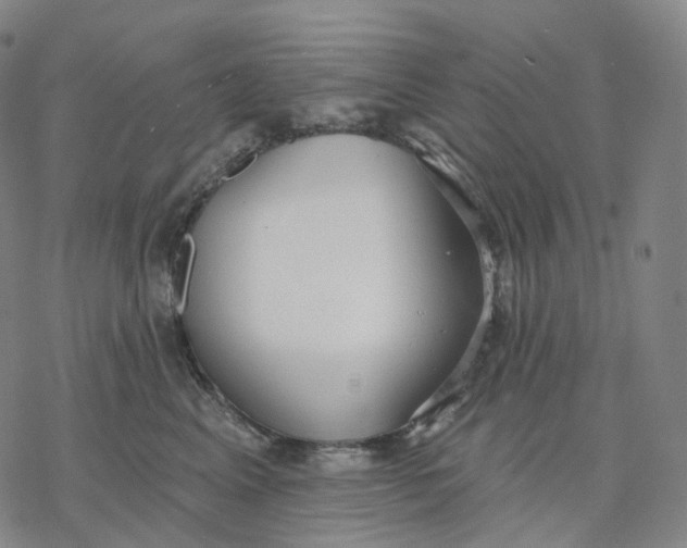 X0000076420617200610271710