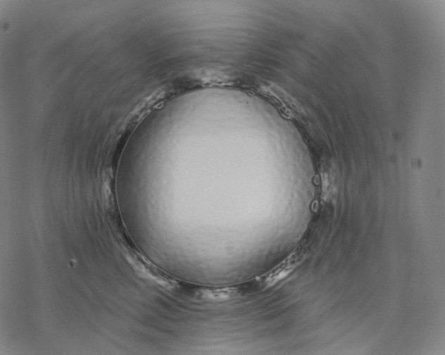 X0000076420618200610271710