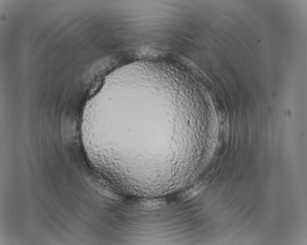 X0000076420619200610271710