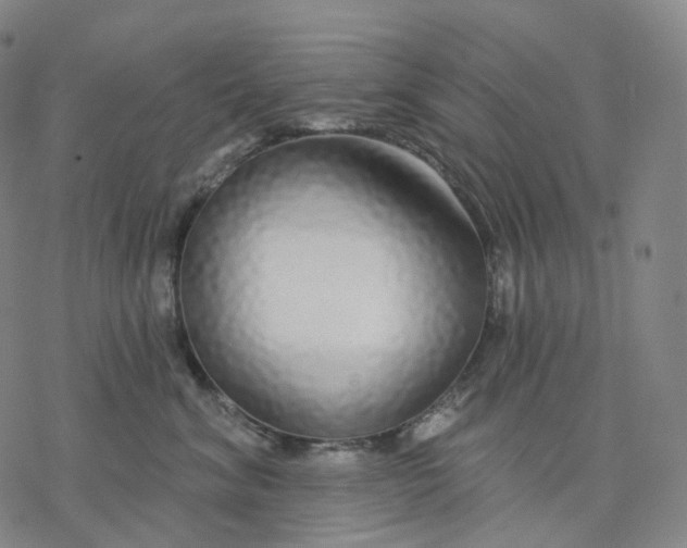 X0000076420620200610271710