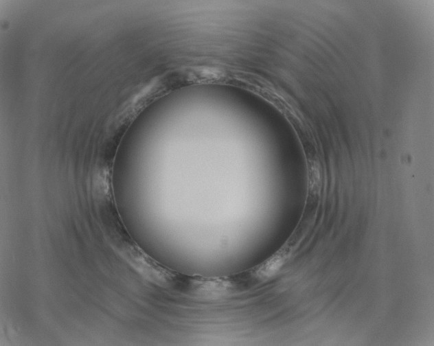 X0000076420621200610271709