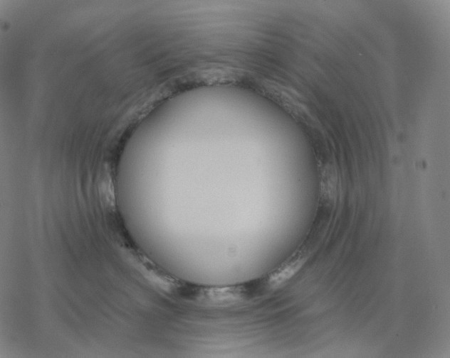 X0000076420622200610271709