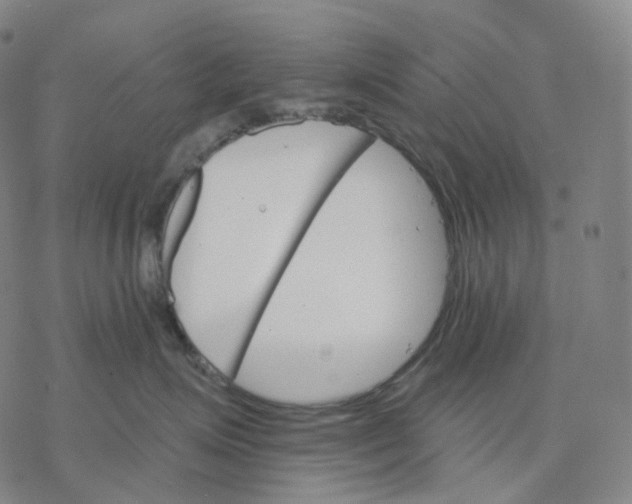 X0000076420623200610271709