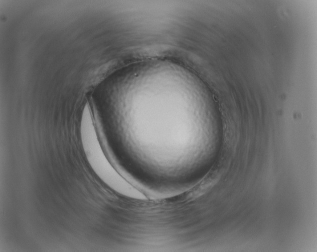 X0000076420624200610271709